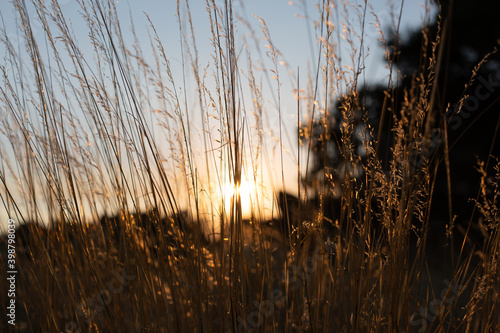 Atardecer