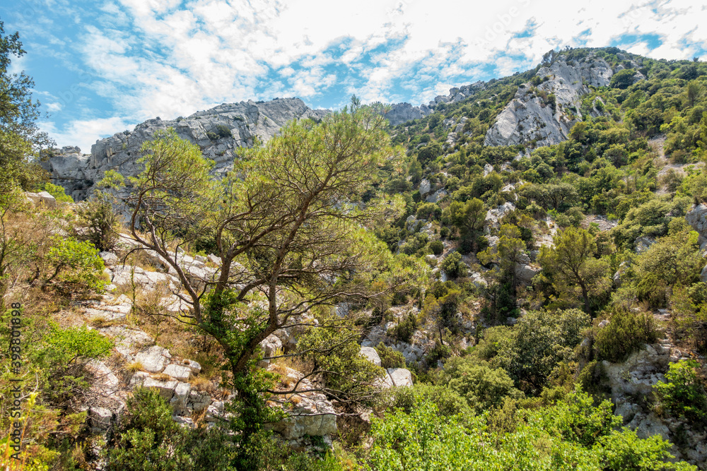 Kalksteinwildnis in den Dentelles de Montmirail in der Provence Kalksteinwildnis in den Dentelles de Montmirail in der Provence