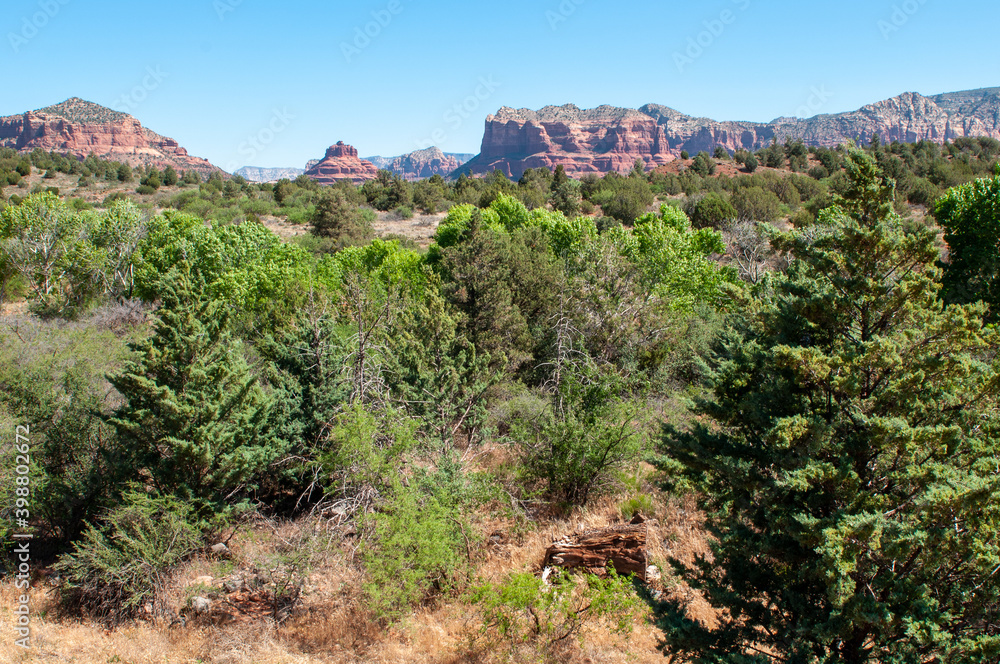 Fototapeta premium desert landscape in Sedona Arizona