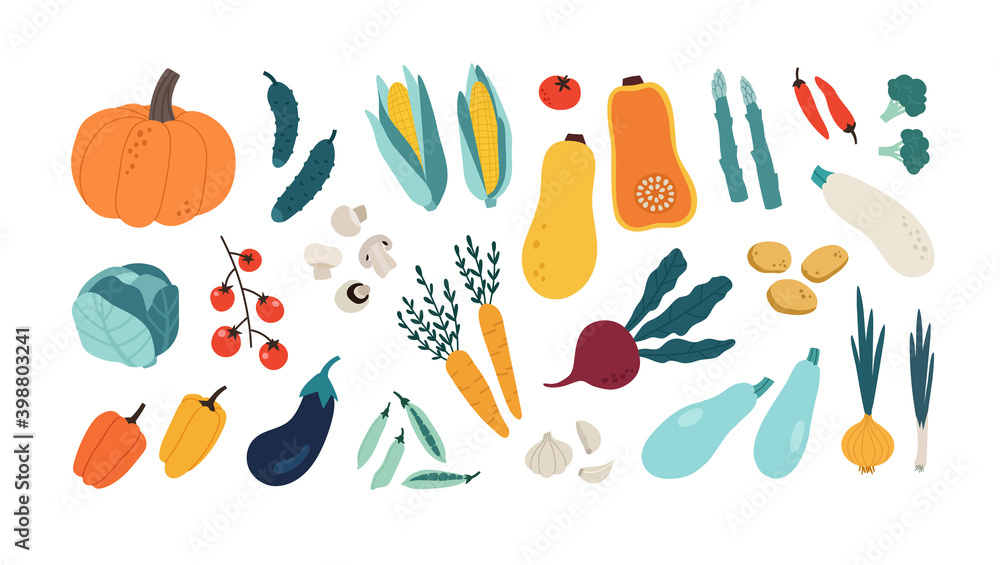 Set of hand-drawn colorful vegetables isolated on white background. Vector illustration. Suitable for illustrating healthy eating, recipes, local farm. The concept of vegetarian and healthy food. Set of hand-drawn colorful vegetables isolated on white background. Vector illustration. Suitable for illustrating healthy eating, recipes, local farm. The concept of vegetarian and healthy food.