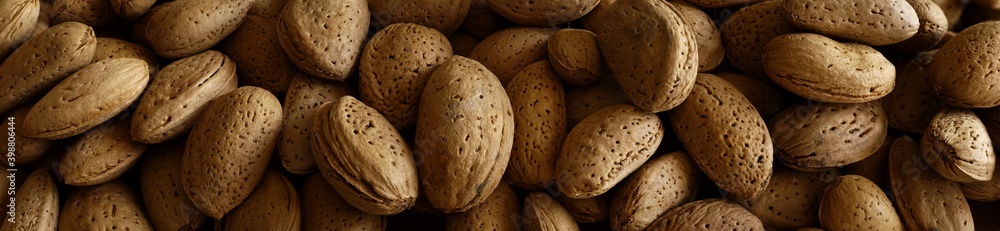 Almonds in a shell. Close up..A heap of almond nuts as a background..Unshelled almonds. .Large banner format. Almonds in a shell. Close up..A heap of almond nuts as a background..Unshelled almonds. .Large banner format.