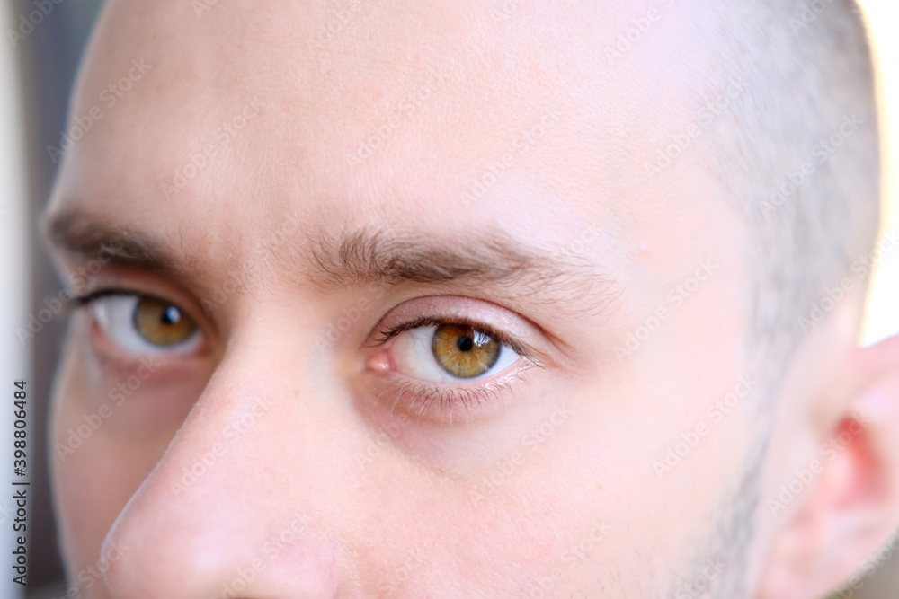 Fototapeta premium brown eyes of a young man close up, human vision concept, optic nerve health, nervous tic, myopia, hyperopia, vision test, genetic engineering