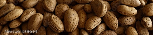 Almonds in a shell. Close up..A heap of almond nuts as a background..Unshelled almonds. .Large banner format.
