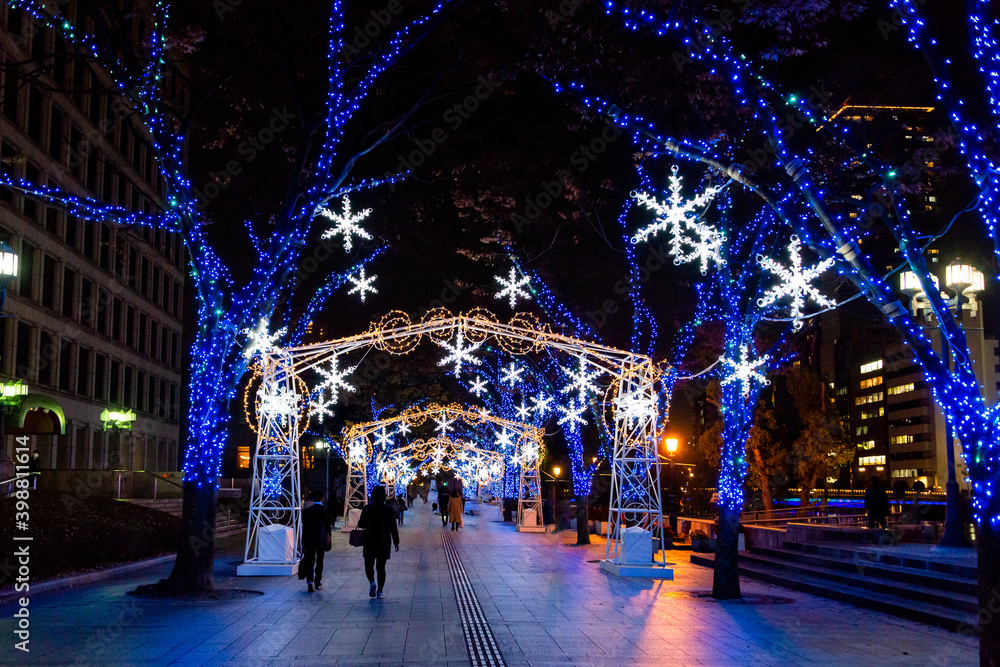 Fototapeta premium Winter illumination in Midosuji avenue in Osaka, Japan
