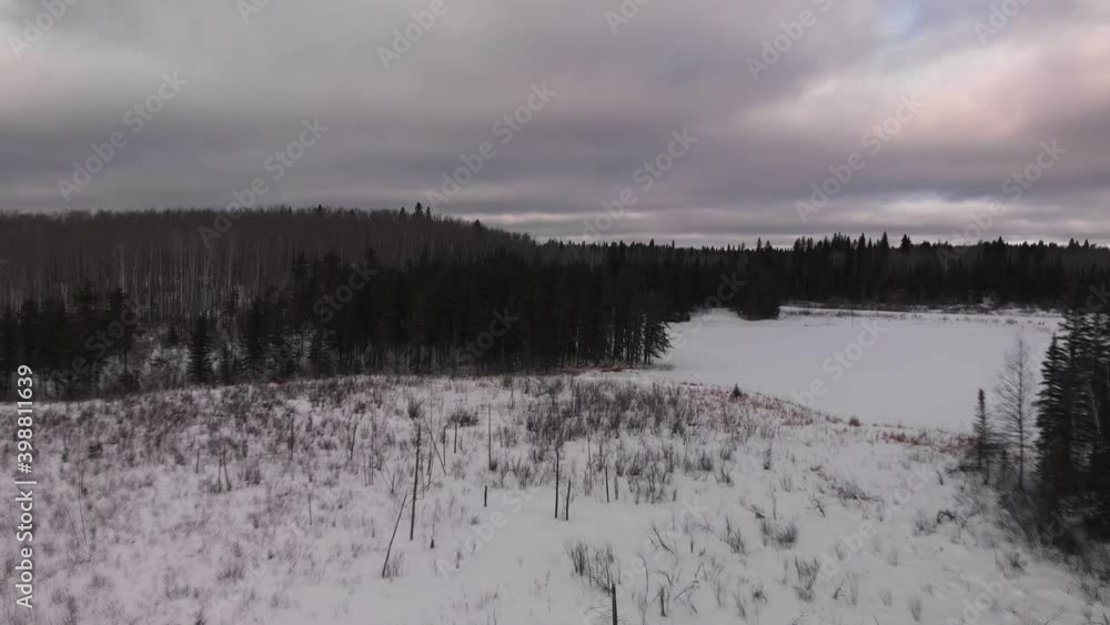 Aerial from drone moving slowly just above the treetops showing a winter scene of a dark forest and ponds covered in snow. The sky is a moody gray color.
Aerial from drone moving slowly just above the treetops showing a winter scene of a dark forest and ponds covered in snow. The sky is a moody gray color.