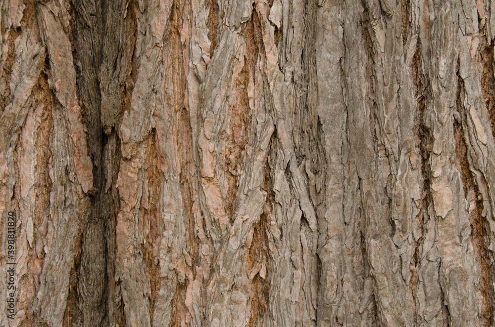 brown wood texture and background brown wood texture and background