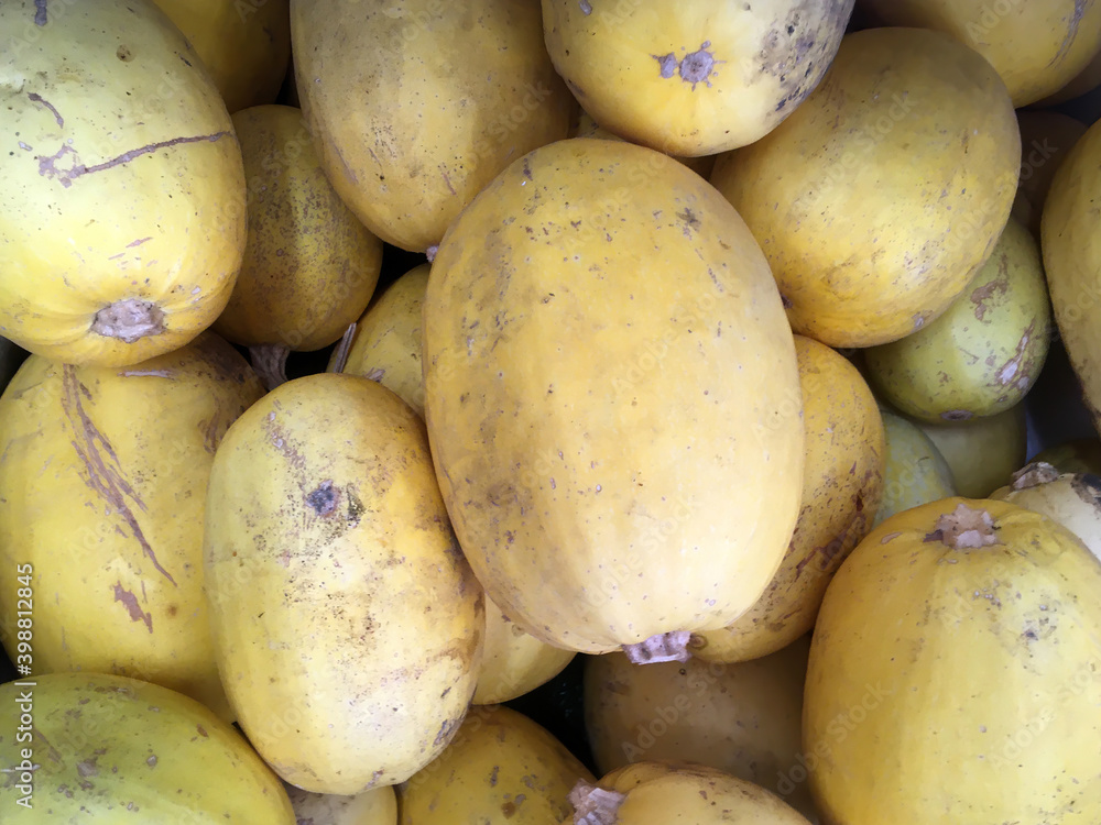 High angle close-up view of fresh Spaghetti Squash displayed for sale at a grocery market High angle close-up view of fresh Spaghetti Squash displayed for sale at a grocery market