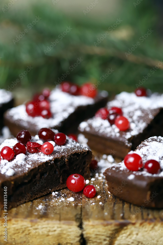 Christmas chocolate cakes with cranberries and powdered sugar. Good New Year spirit. Christmas chocolate cakes with cranberries and powdered sugar. Good New Year spirit.