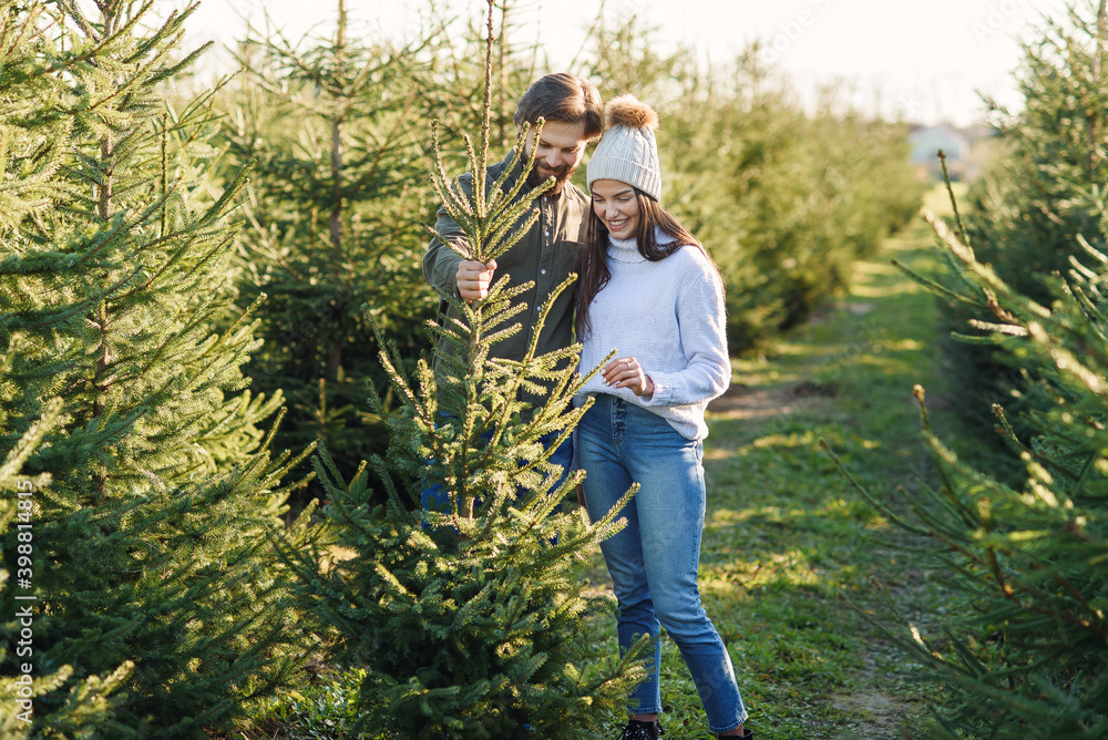 Young happy family choosing christmas tree at plantation preparing holidays. Young happy family choosing christmas tree at plantation preparing holidays.