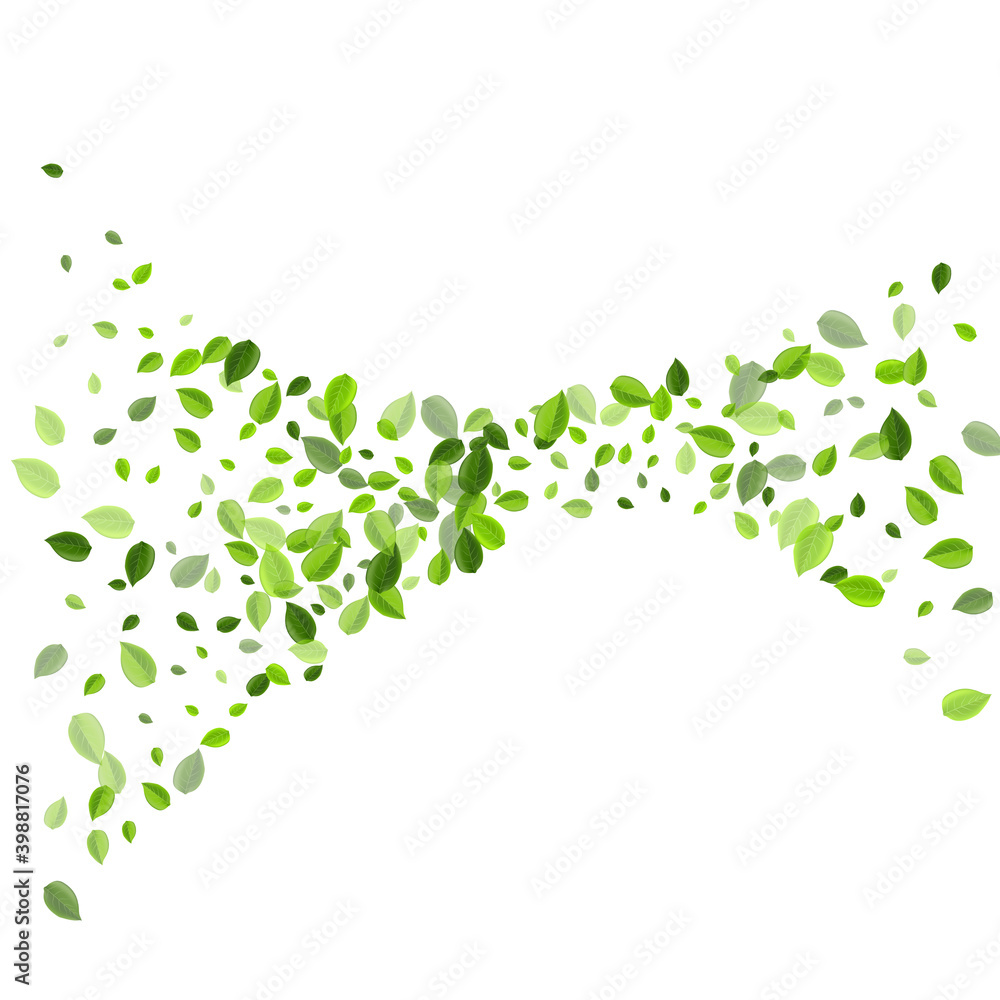 Grassy Leaf Ecology Vector Illustration. Nature Grassy Leaf Ecology Vector Illustration. Nature
