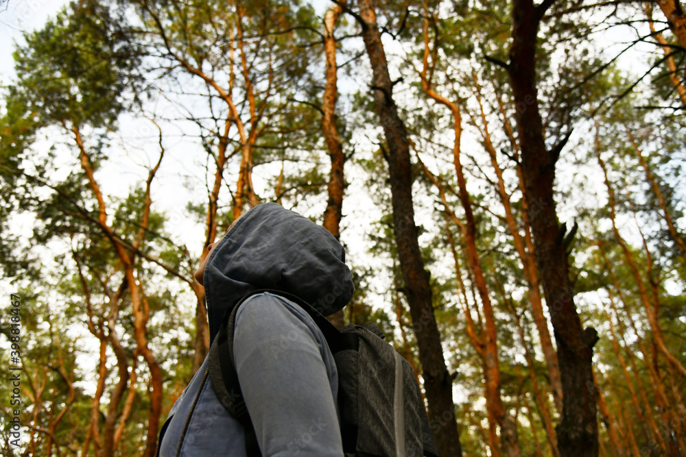 Tourist with a backpack and a hood at evergreen pine forest. Travel, ecotourism, ecology, local tourism concept, natural background with an explorer in hoodie and coniferous trees Tourist with a backpack and a hood at evergreen pine forest. Travel, ecotourism, ecology, local tourism concept, natural background with an explorer in hoodie and coniferous trees