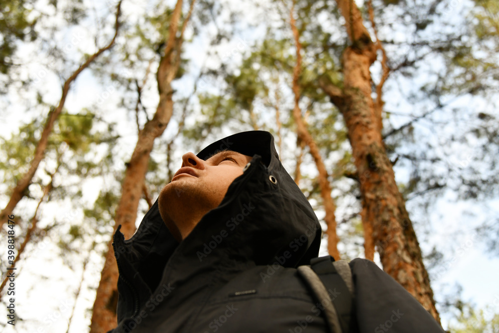 Tourist wearing in jacket with a hood at evergreen pine forest. Travel, ecotourism, ecology, local tourism, success concept, natural background with coniferous trees and an explorer in hoodie