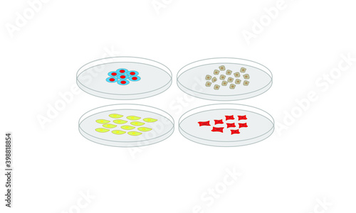 Petri dishes [Cell culture]