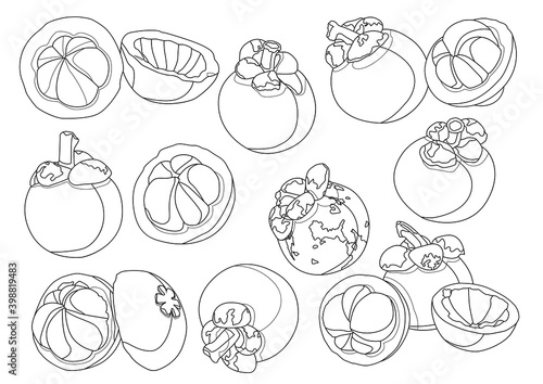 Line mangosteen fruit pattern on white background illustration vector