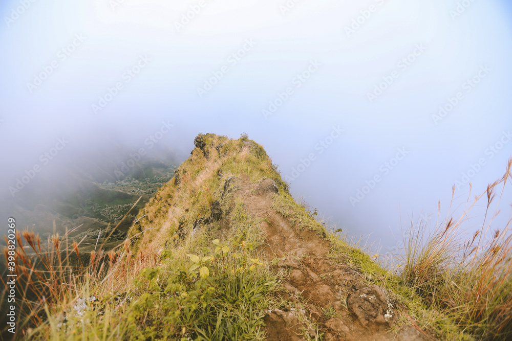 Awaawapuhi Trail, Kauai island, Hawaii
Awaawapuhi Trail, Kauai island, Hawaii