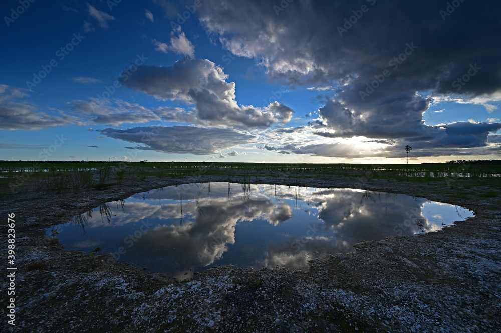 Autumn clouds over Hole-in-the-Donut habitat restoration project in Everglades National Park, Florida at sunset.