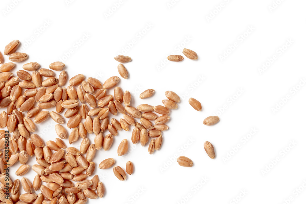 Foto Stock Organic hard red spring wheat kernels randomly spread. The