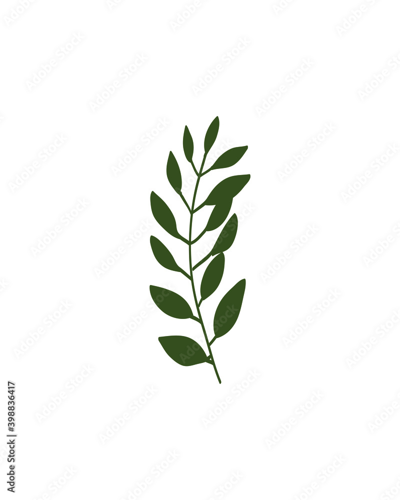 The leaves are drawn by hand in an isolated background. Vector elements for decoration The leaves are drawn by hand in an isolated background. Vector elements for decoration