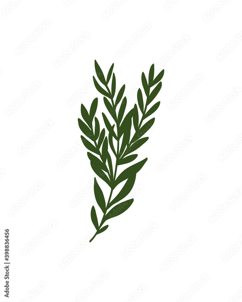 The leaves are drawn by hand in an isolated background. Vector elements for decoration The leaves are drawn by hand in an isolated background. Vector elements for decoration