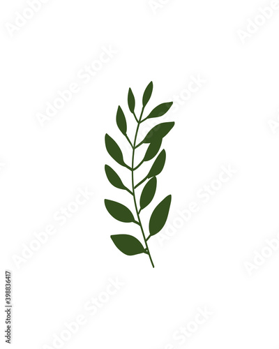 The leaves are drawn by hand in an isolated background. Vector elements for decoration