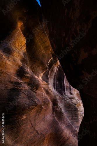 Nature's Textures