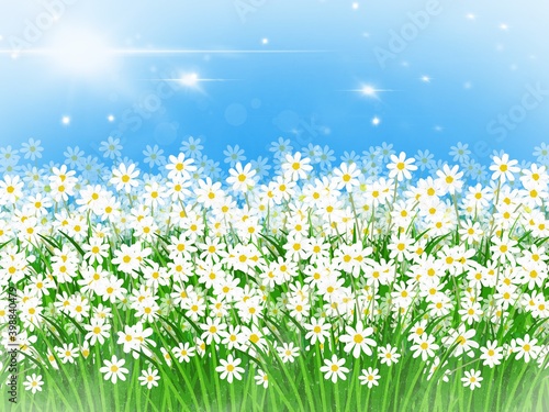 Illustration for background,field of daisies. Flowers create from tablet.