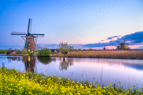 Dutch windmill at sunset in Kinderdijk. Netherlands 