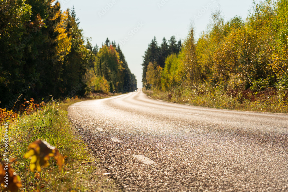 Fototapeta premium Road in autumn - focus on asphalt 