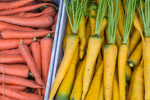 Fresh yellow carrots against red carrots in a wooden box on market. Goods from farmers. Organic food concept