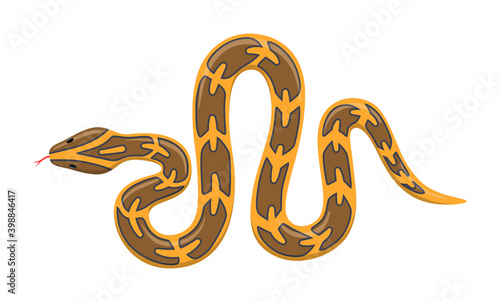 Burmese python animal standing on a white background