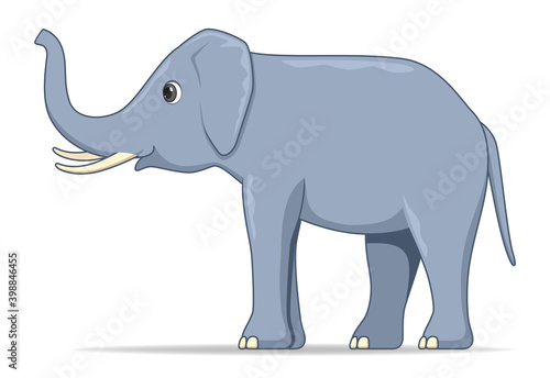 Indian elephant animal standing on a white background