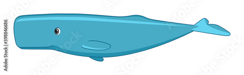 Sperm whale fish on a white background