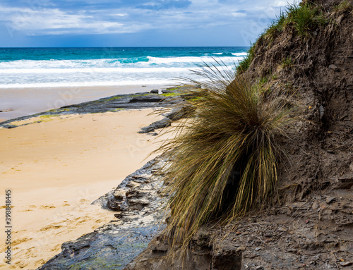 beach with long grass and sky