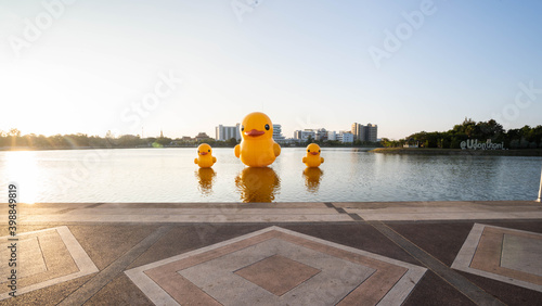 Big yellow duck with sunset light at Nong Prachak Public Park, Udonthani Province Thailand.