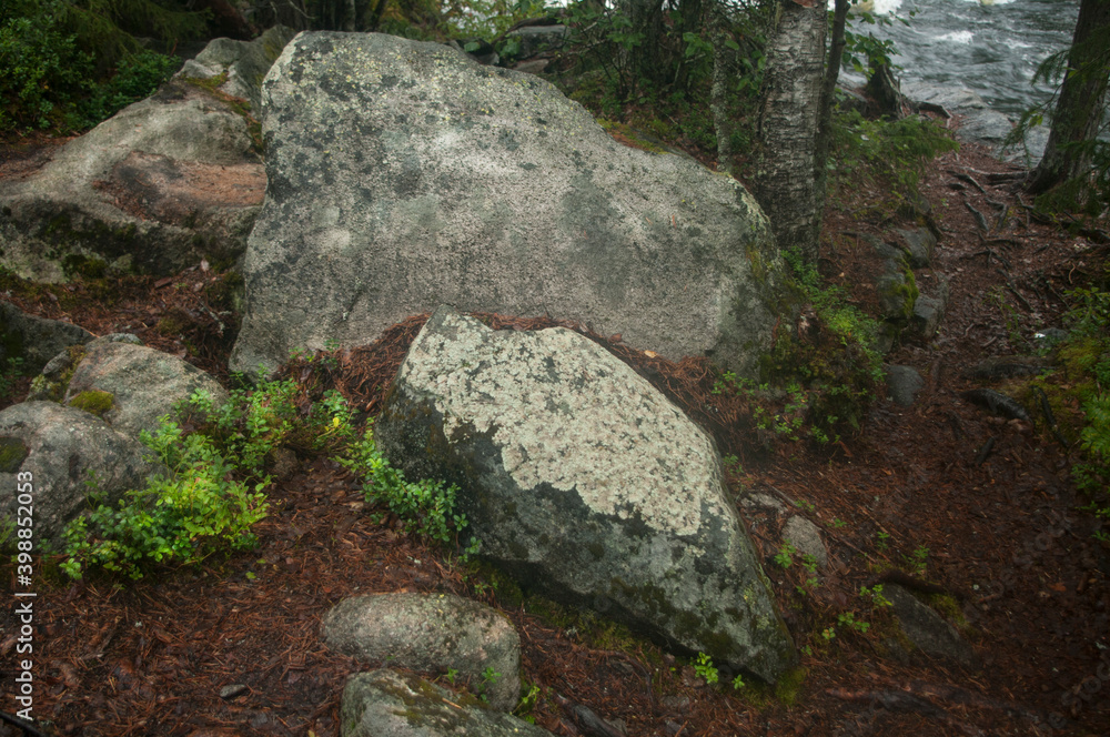 large stones in the forest wildlife river Pistojoki North Karelia camping trip adventure August 2014 large stones in the forest wildlife river Pistojoki North Karelia camping trip adventure August 2014