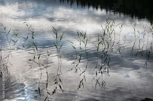 coastal grass sedge water river reflection in water pattern Keret river Karelia travel August 2015
