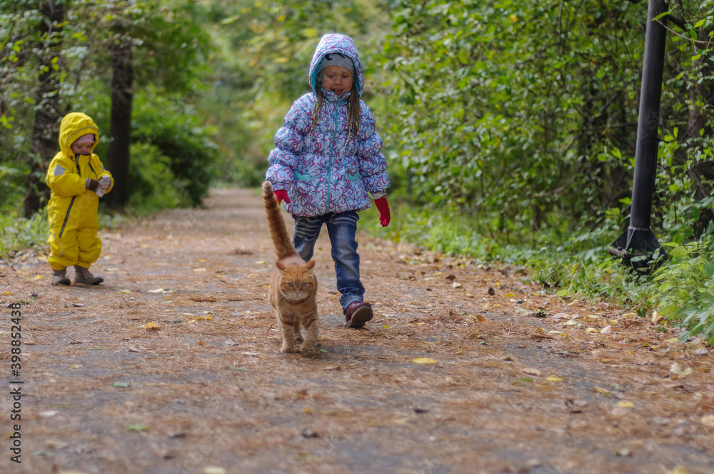 Fototapeta premium Girls and red cat in the woods