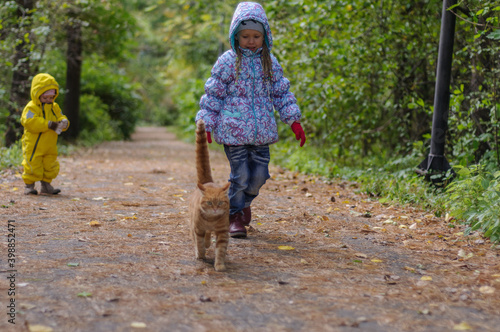 Girls and red cat in the woods