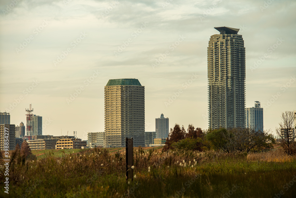 Fototapeta premium 冬の夕暮れの河川敷 埼玉県川口市 12月