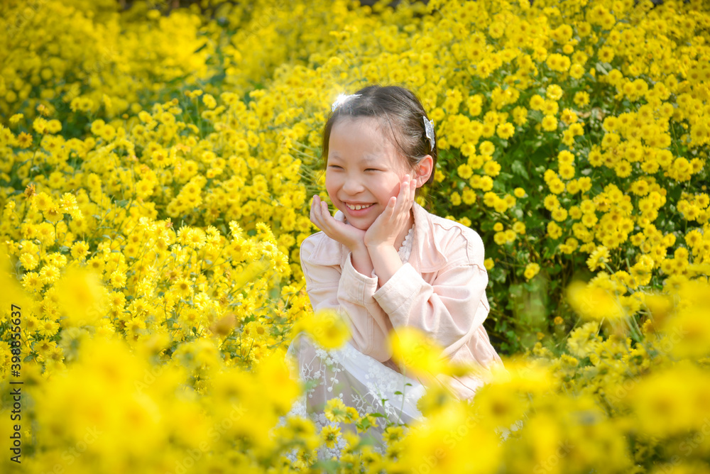Young beautiful asian girl child sitting and smiles in yellow Chrysanthemum field. Young beautiful asian girl child sitting and smiles in yellow Chrysanthemum field.