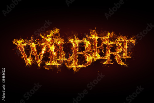 Wilbert name made of fire and flames