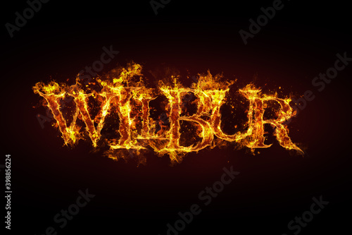 Wilbur name made of fire and flames