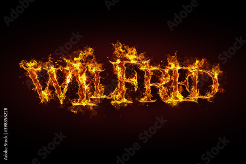 Wilfred name made of fire and flames photo