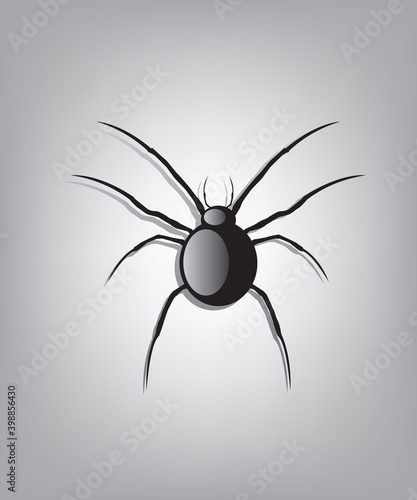Black spider illustration