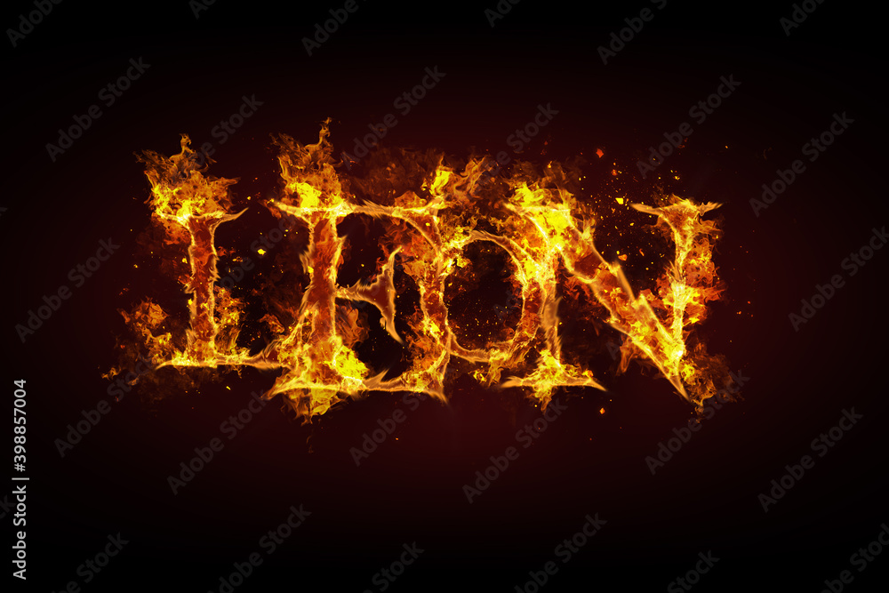 Leon name made of fire and flames Leon name made of fire and flames