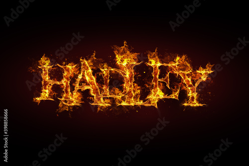 Hadley name made of fire and flames
