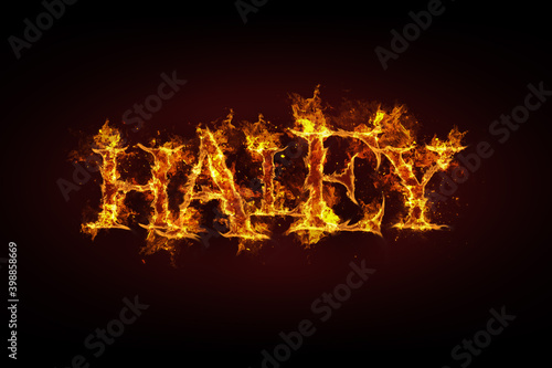 Haley name made of fire and flames