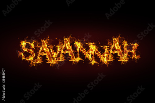 Savannah name made of fire and flames