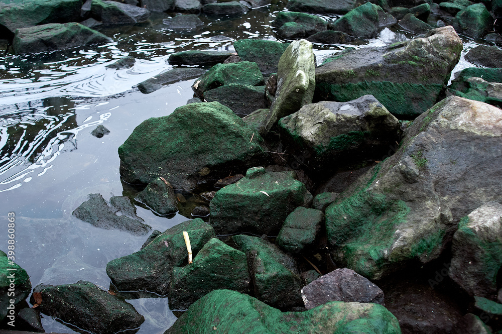Large wet stones covered with moss on the river bank Large wet stones covered with moss on the river bank