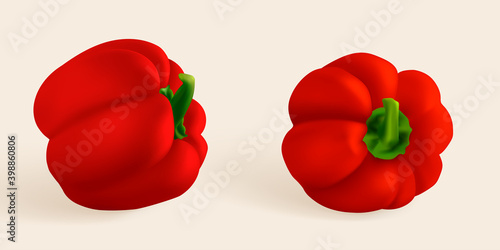 Paprika capsicum top view paprika isolated. Sweet papper, Hungarian pepper cut and whole. Capsicum habanero vector illustration.